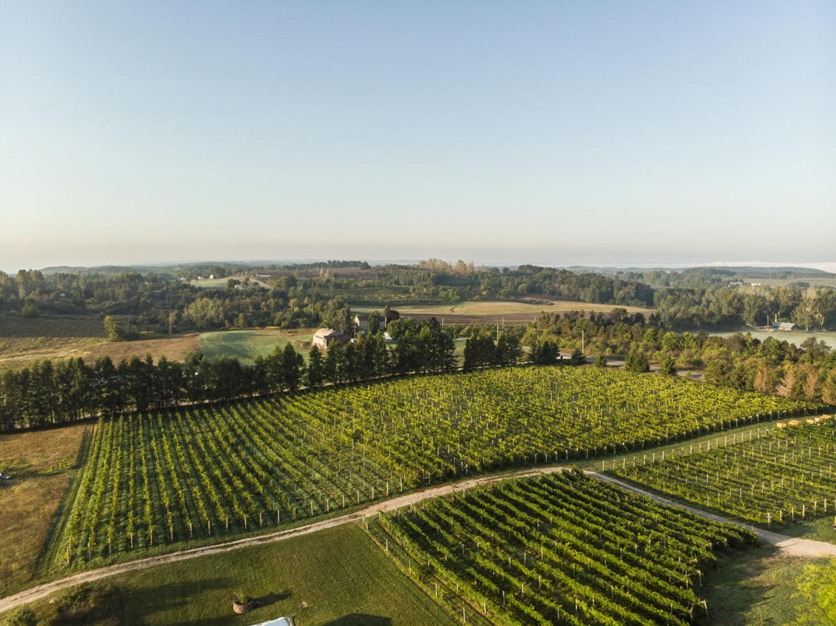 Scenic vineyard and lake view on Leelanau Peninsula